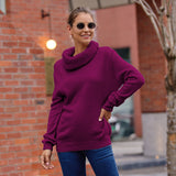 New Sweater Women's Horse Hair Solid Color Long-Sleeved Collar Knitwear Shirt In Autumn And Winter 2025