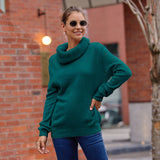 New Sweater Women's Horse Hair Solid Color Long-Sleeved Collar Knitwear Shirt In Autumn And Winter 2025